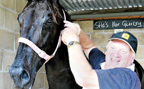 Coffs Harbour trainer Jim Jarvis will be saddling up plenty of his horses. Coffs Harbour trainer Jim Jarvis will be saddling up plenty of his horses.